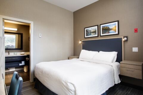 One Queen Standard Large