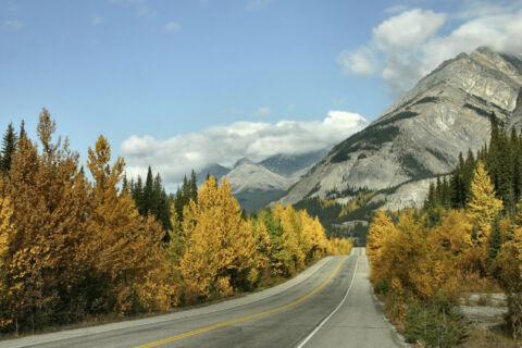 Scenic Fall Drive