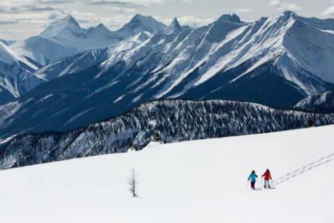 Spectacular snowshoeing in lake louise L 3 Large