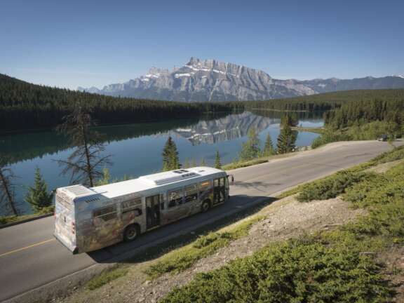 Transit Roam Nick Fitzhardinge 017 large