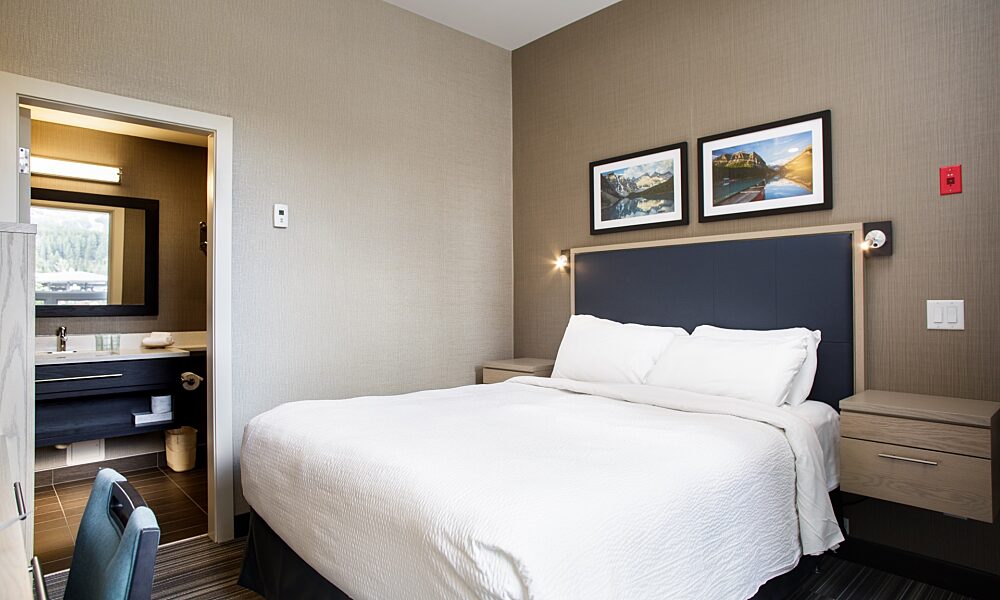 One Queen Standard Large