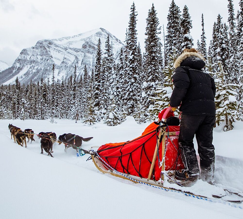 Mouintaineer Lodge Lake Louise Winter Things To Do Dogsledding Matt Willder