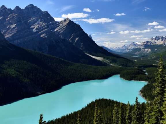 6 Peyto Lake