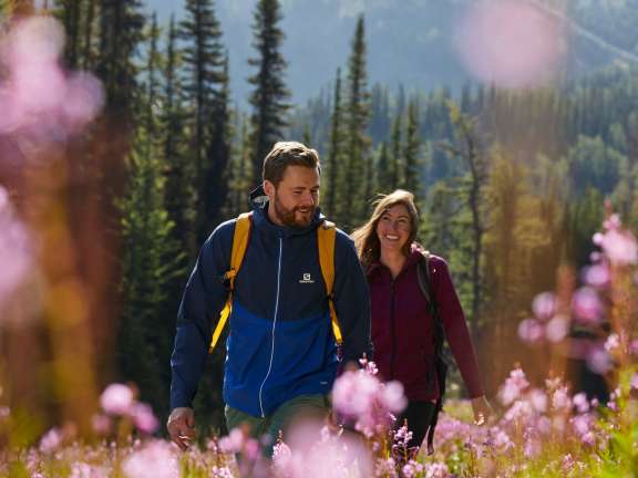 Summer Sunshine Village Sunshine Meadows Hike 012 large