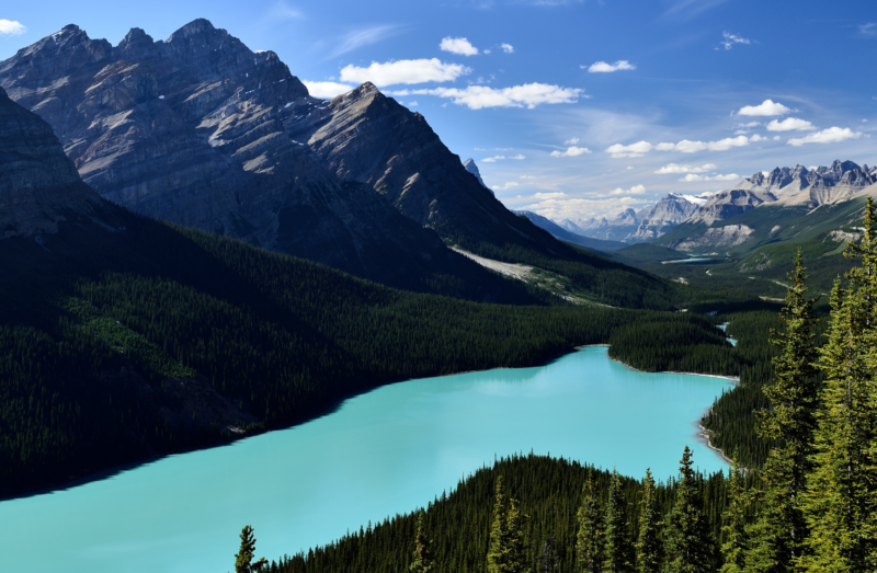 6 Peyto Lake